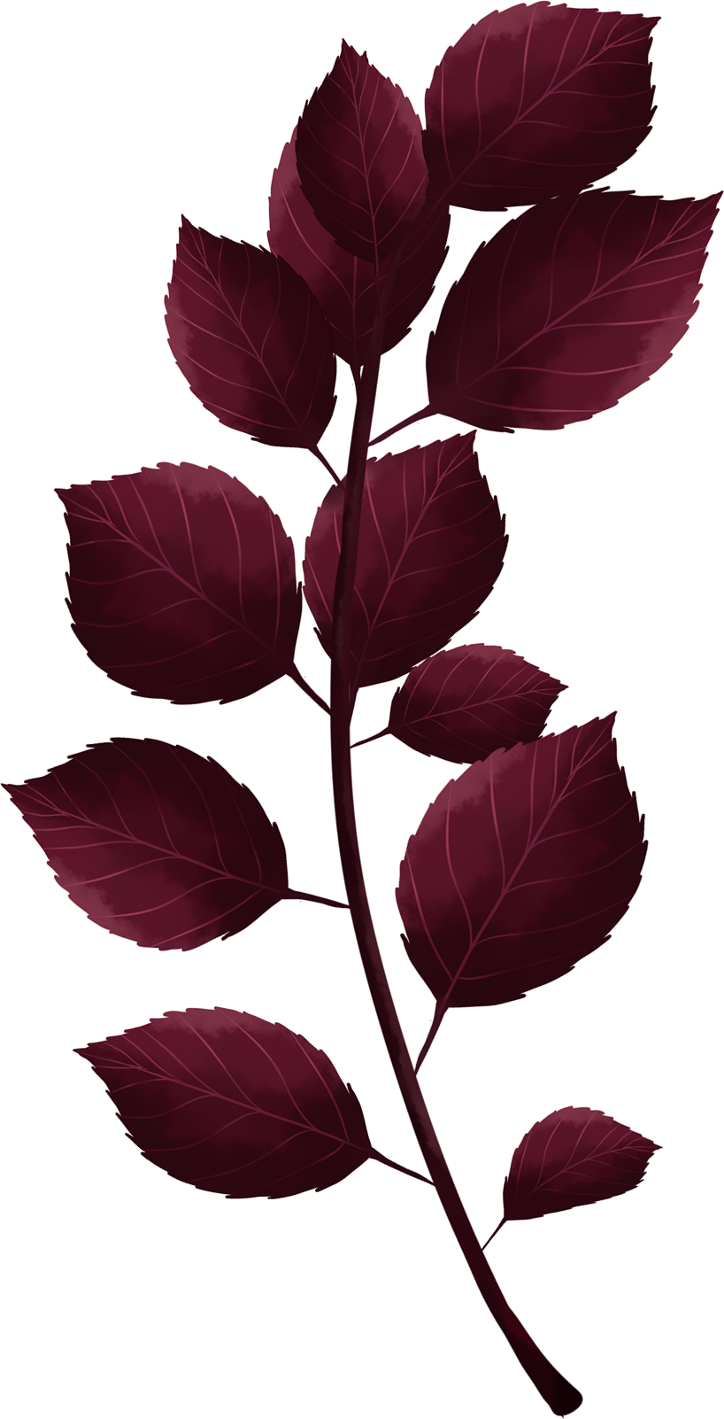 Hand Drawn Maroon Leaves